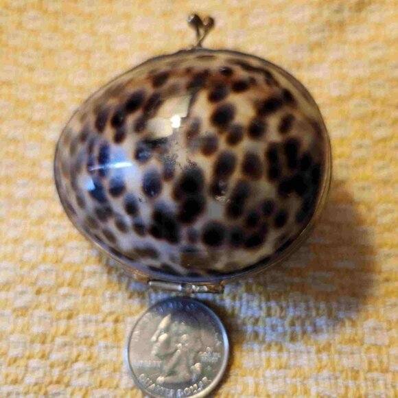 Sea Shell Coin Purse - Picture 2 of 3